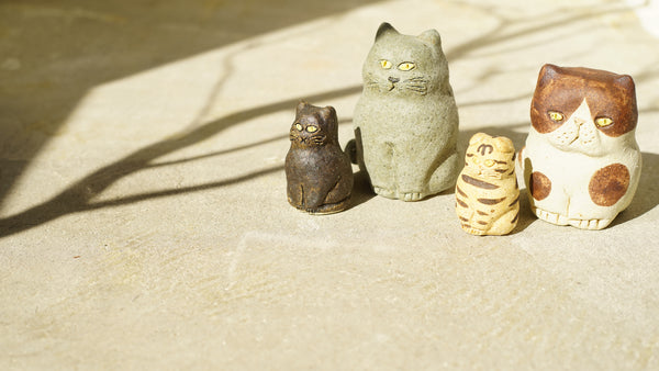 2022年2月22日 スーパー猫の日