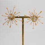 ハーキマダイヤ 水晶ピアス(チタン)